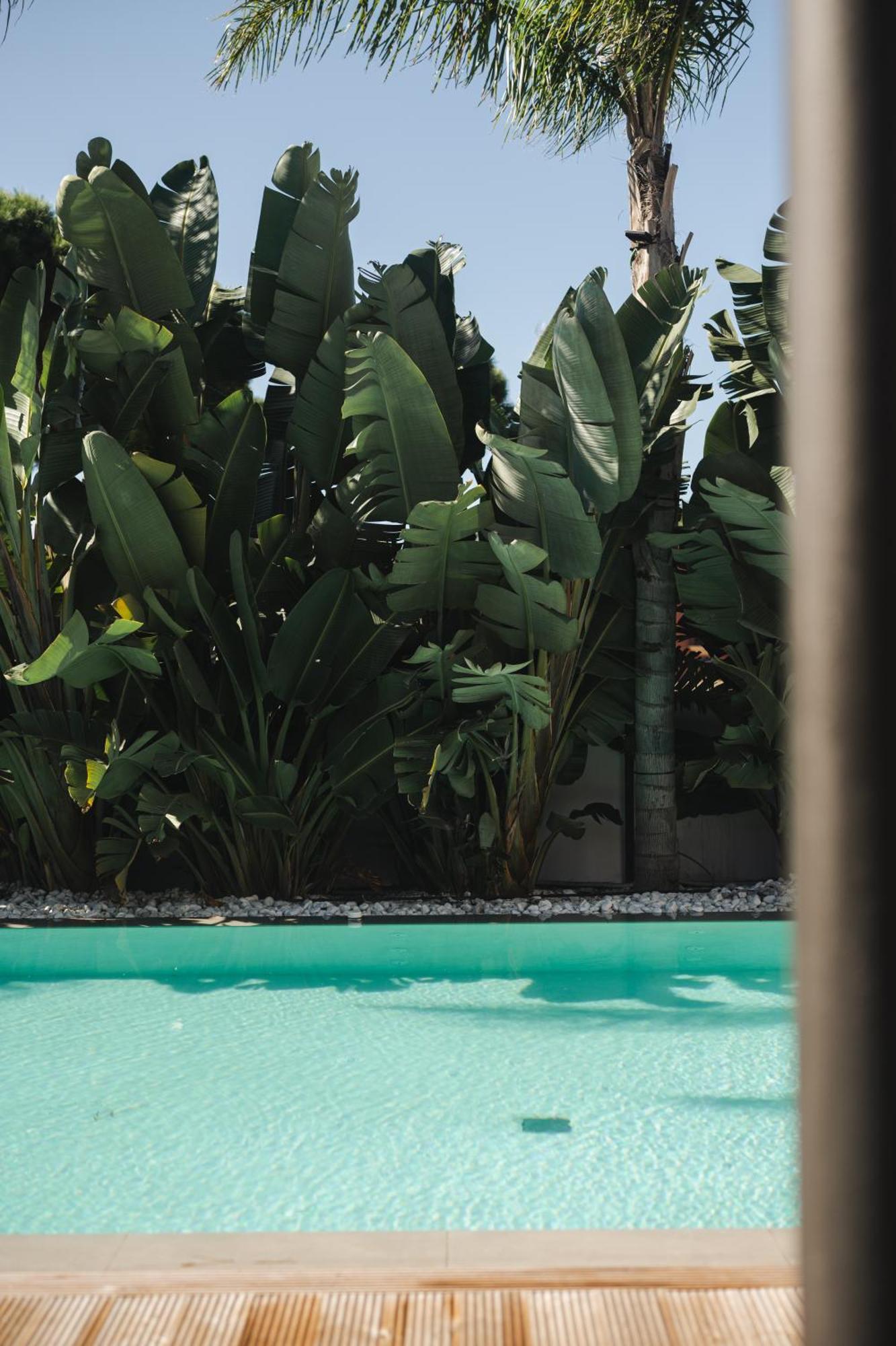 Casa Cuatro Boutique Hotel - Adults Recommended Novo Sancti Petri Exterior photo